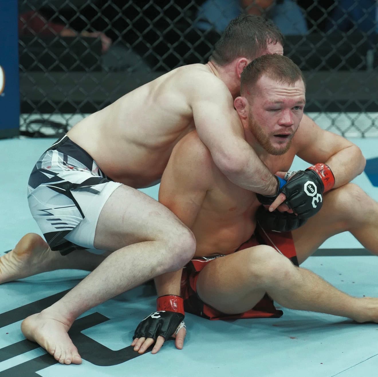 Petr Yan vs Merab Dvalishvili grappling exchange